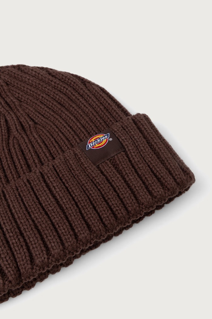 Akcesoria Dickies Czapka DK0A4Z2OCBX1 brązowy