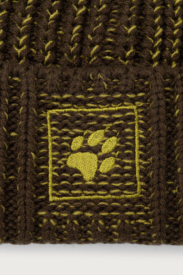 Akcesoria Jack Wolfskin Czapka beanie BADGE A66188 zielony
