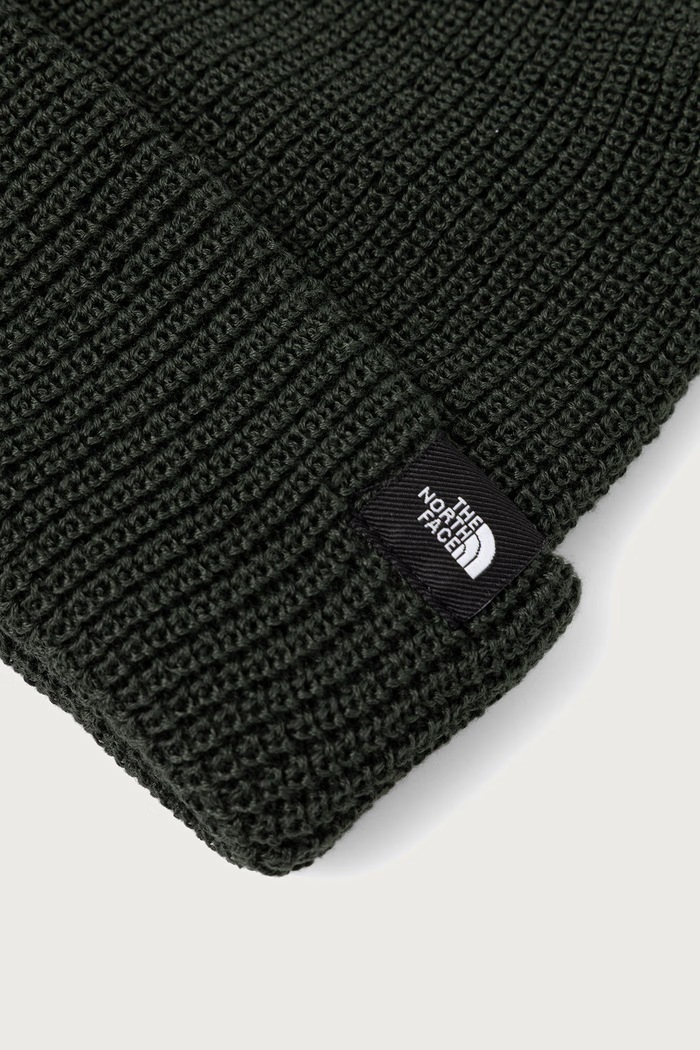 Αξεσουάρ The North Face Σκούφος beanie Fisherman NF0A8HMPNLW1 πράσινο