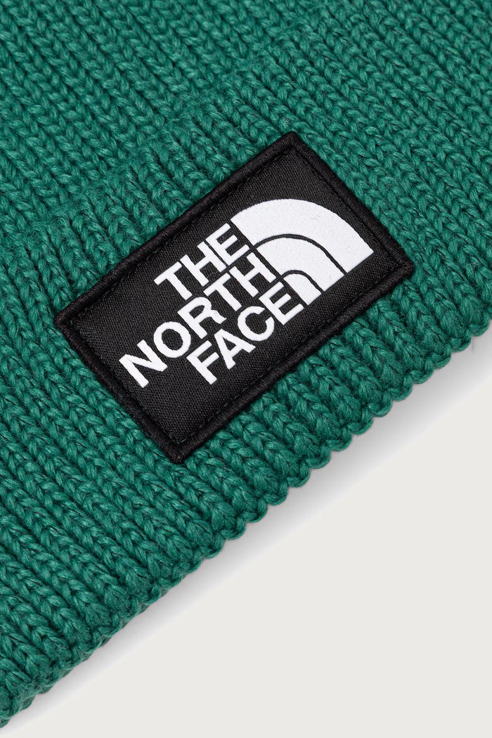 Dodatki The North Face Kapa s cofom TNF Logo Box NF0A8CHFNL11 zelena