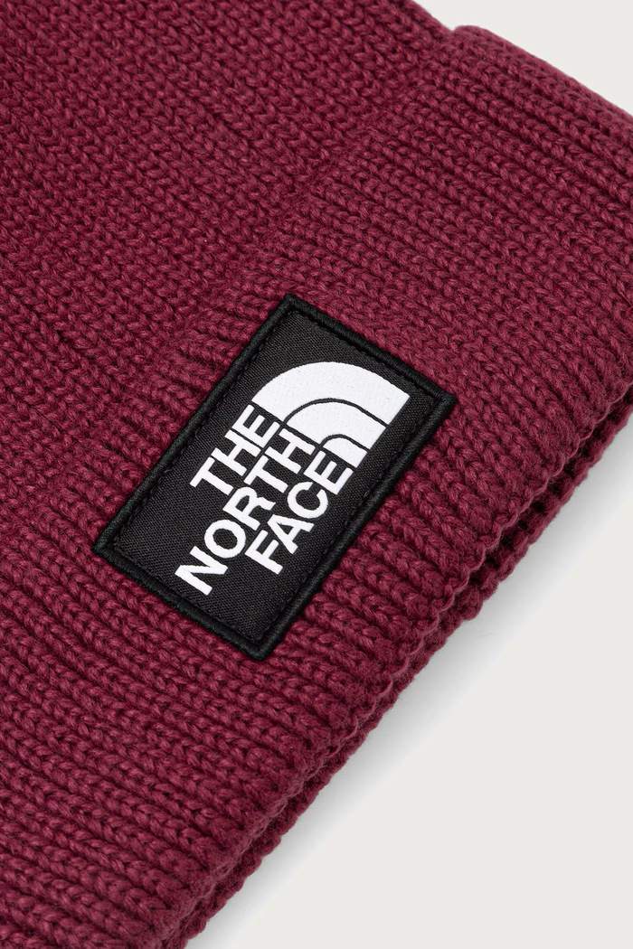 Dodatki The North Face Kapa s cofom TNF Logo Box NF0A8CHFMVO1 bordo