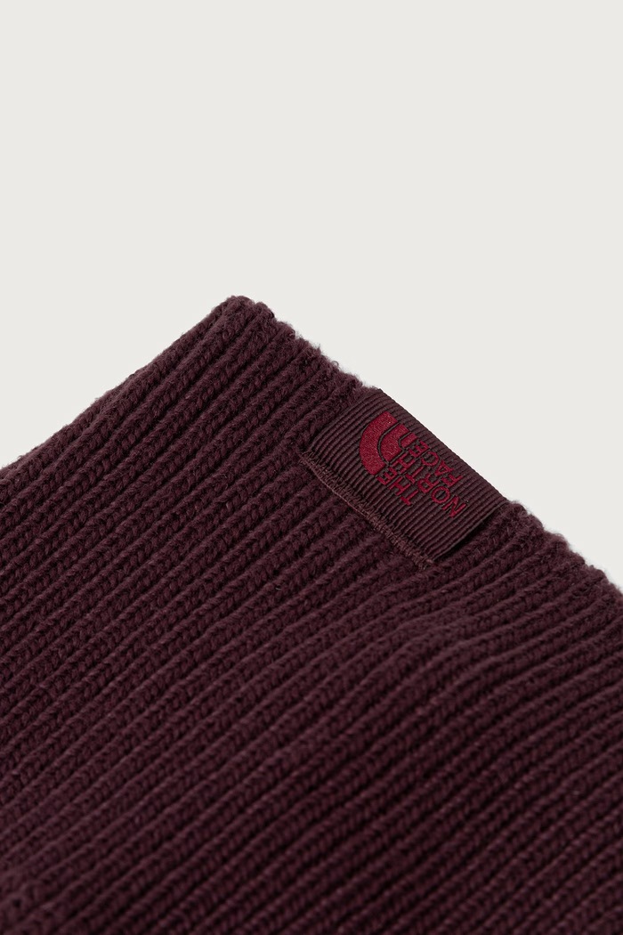 The North Face Μπαλακλάβα γυναικεία TNF Logo Box NF0A8DKMNO41 μπορντό AW26