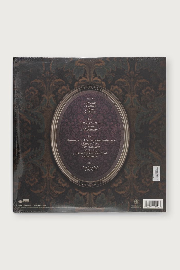 Black Moon WHO ARE YOU (LP) JOEL.ROSS чёрный AW26
