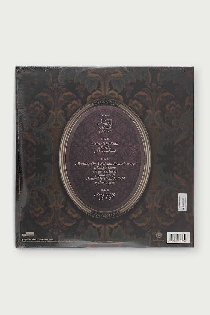 Black Moon WHO ARE YOU (LP) JOEL.ROSS чёрный AW26