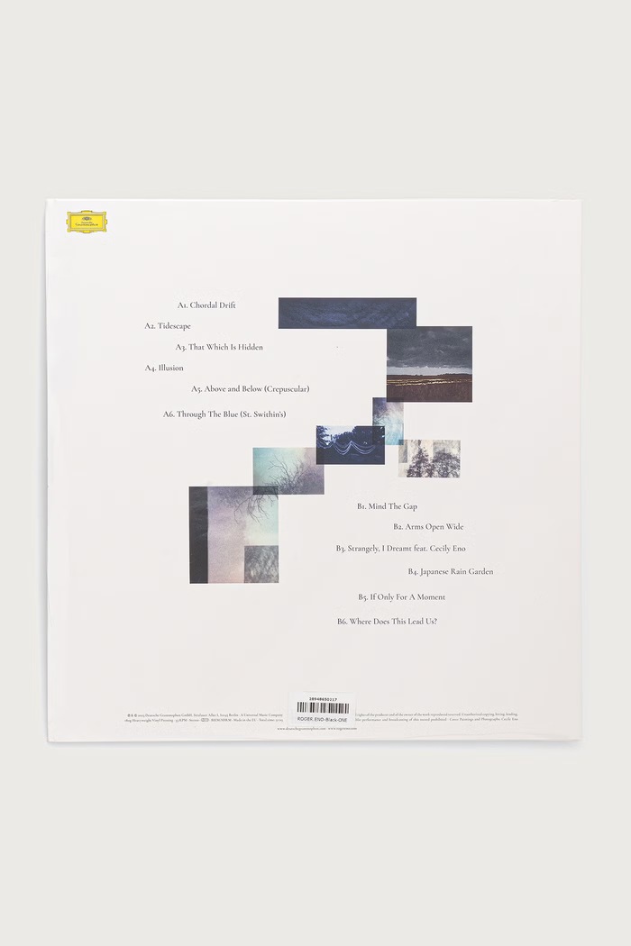 Black Moon Album winylowy THE SKIES THEY SHIFT LIKE HORDS (LP) ROGER.ENO czarny AW26