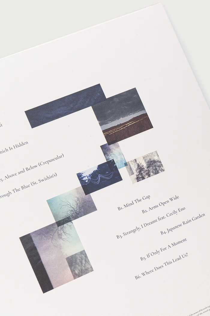 Akcesoria Black Moon Album winylowy THE SKIES THEY SHIFT LIKE HORDS (LP) ROGER.ENO czarny