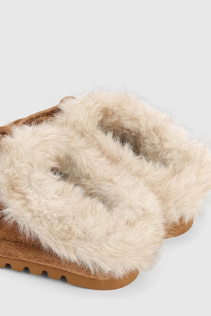 Cipők Naked Wolfe Női velúr ppapucs Harlow Harlow.Tan.Suede barna