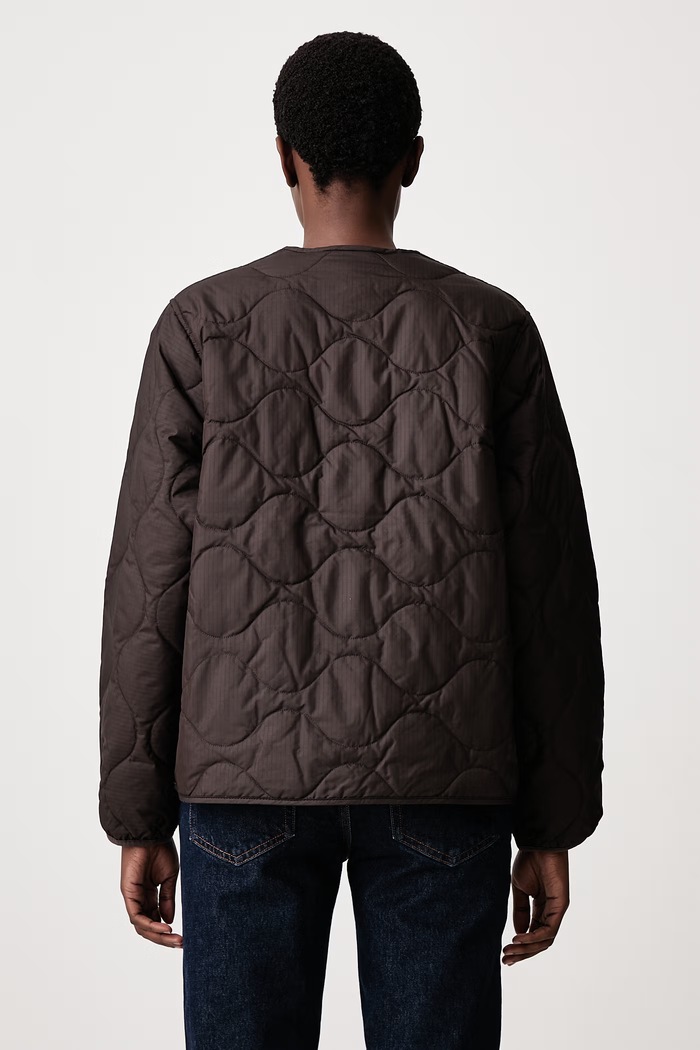 Clothing Carhartt WIP Skye Liner quilted jacket Women's I037046 brown