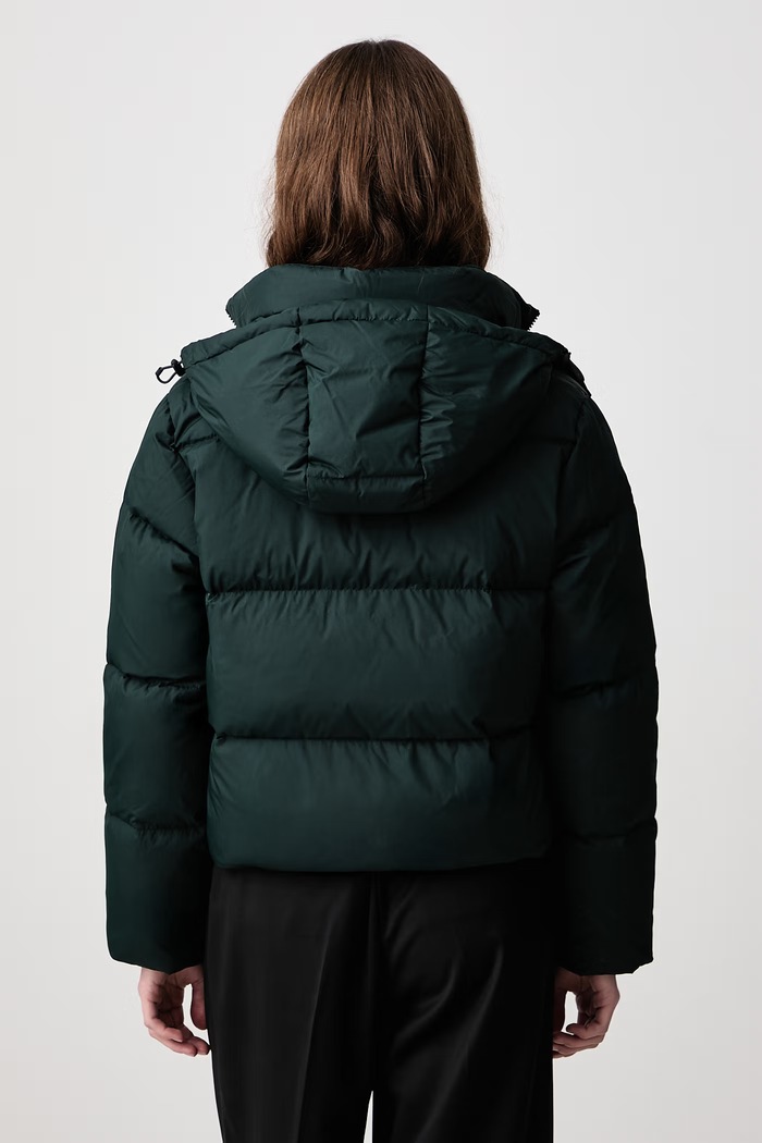 Odzież Lacoste Kurtka puchowa damska BF8434 zielony