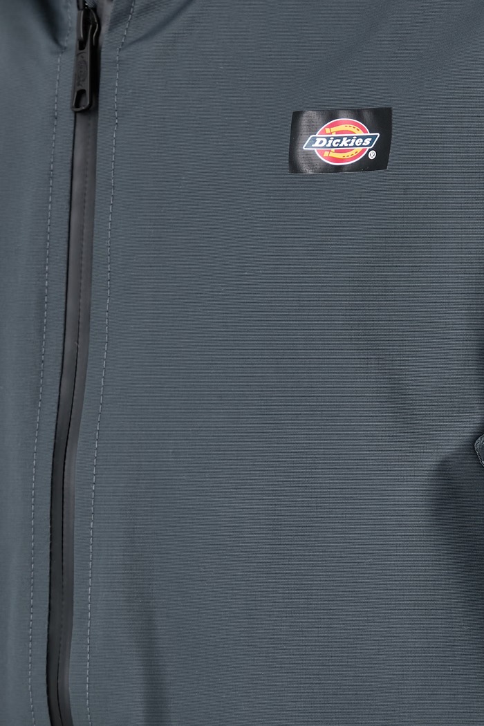 Kurtka męska Dickies szary DK0A4XG80CH1