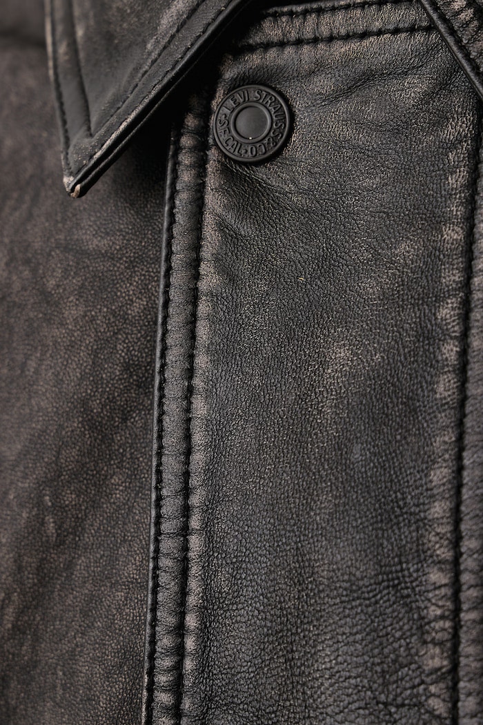 Kurtka męska skórzana JABRIL LEATHER Levi's szary 007SF
