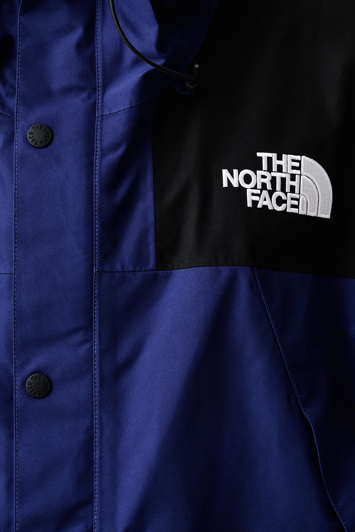 The North Face GTX Mountain kurtka męska NF0A831MRF21