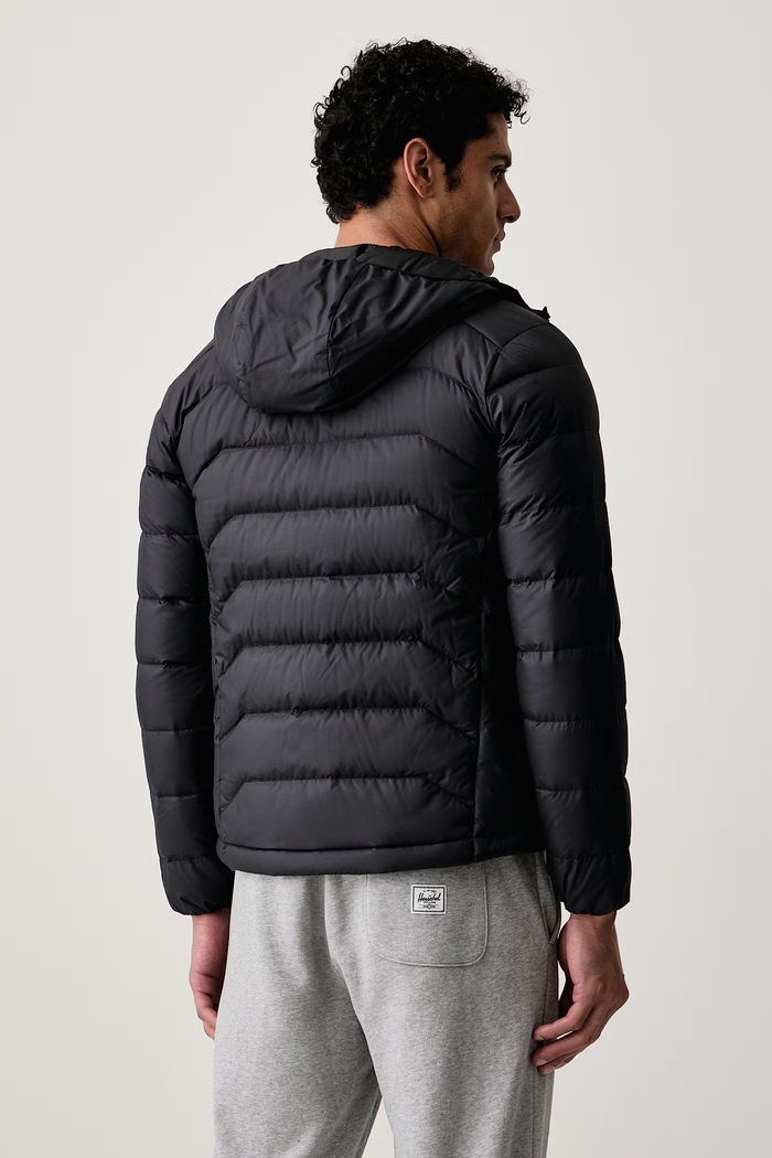 Odzież Jack Wolfskin Kurtka puchowa męska WILD PASS DOWN A66298 czarny