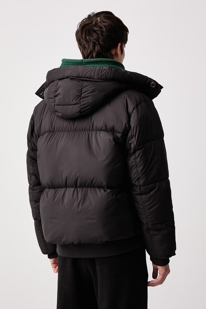 Ρούχα Tommy Jeans Κοντό μπουφάν ανδρικό DM0DM23506 μαύρο
