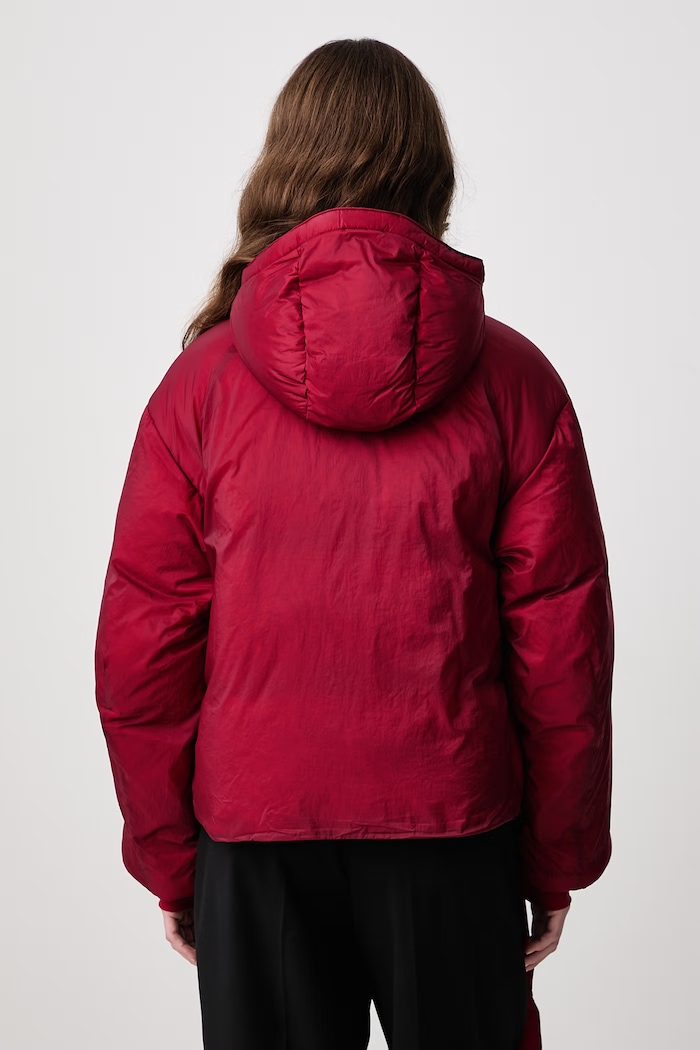 Одежда Y-3 W HD PUFF JKT зимняя куртка для мужчин KT9755 красный