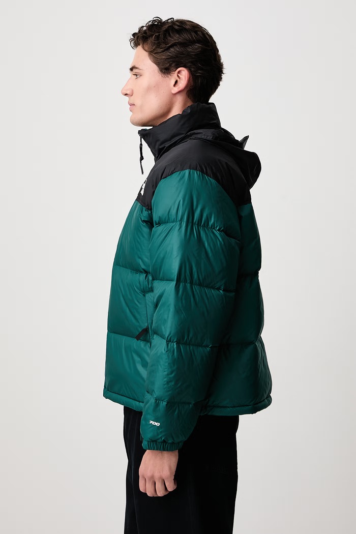 Puhovka moška 1996 Retro Nuptse The North Face NF0A3C8DS7K1 turkizna