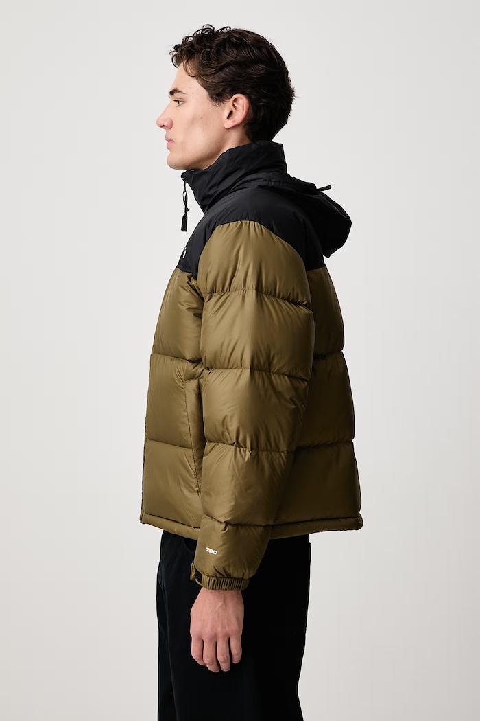Пухено яке мъжко 1996 Retro Nuptse The North Face NF0A3C8DRL51 зелен