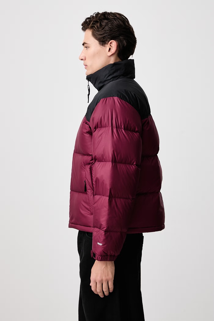 Odjeća The North Face Pernata jakna za muškarce 1996 Retro Nuptse NF0A3C8DRH11 bordo