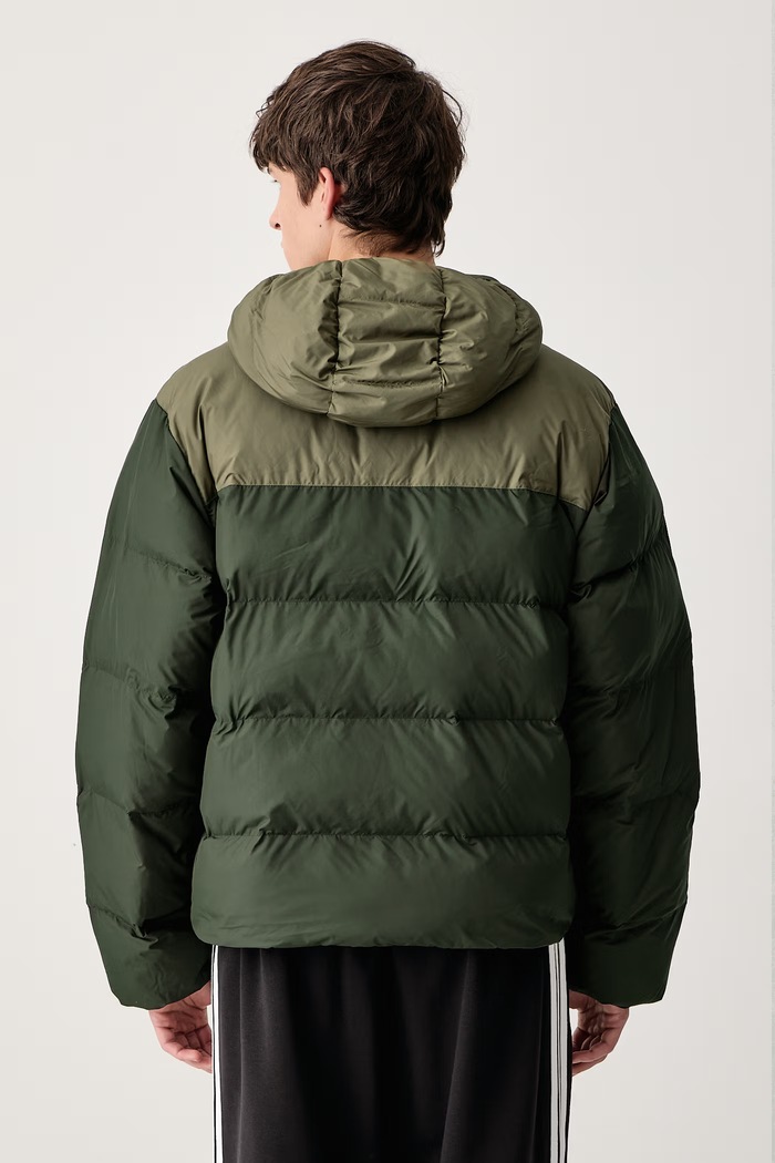 Odzież adidas Originals Kurtka męska Hooded Regen KR7196 zielony