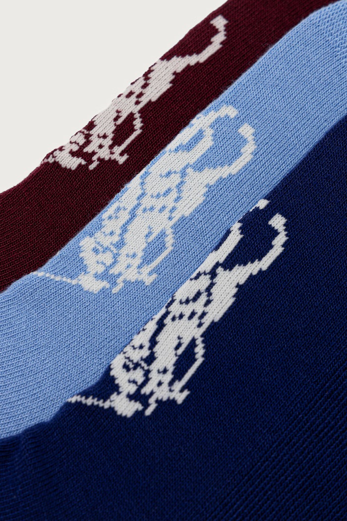 Polo Ralph Lauren ponožky dámské 6-pack 455P10260 šedá AW26