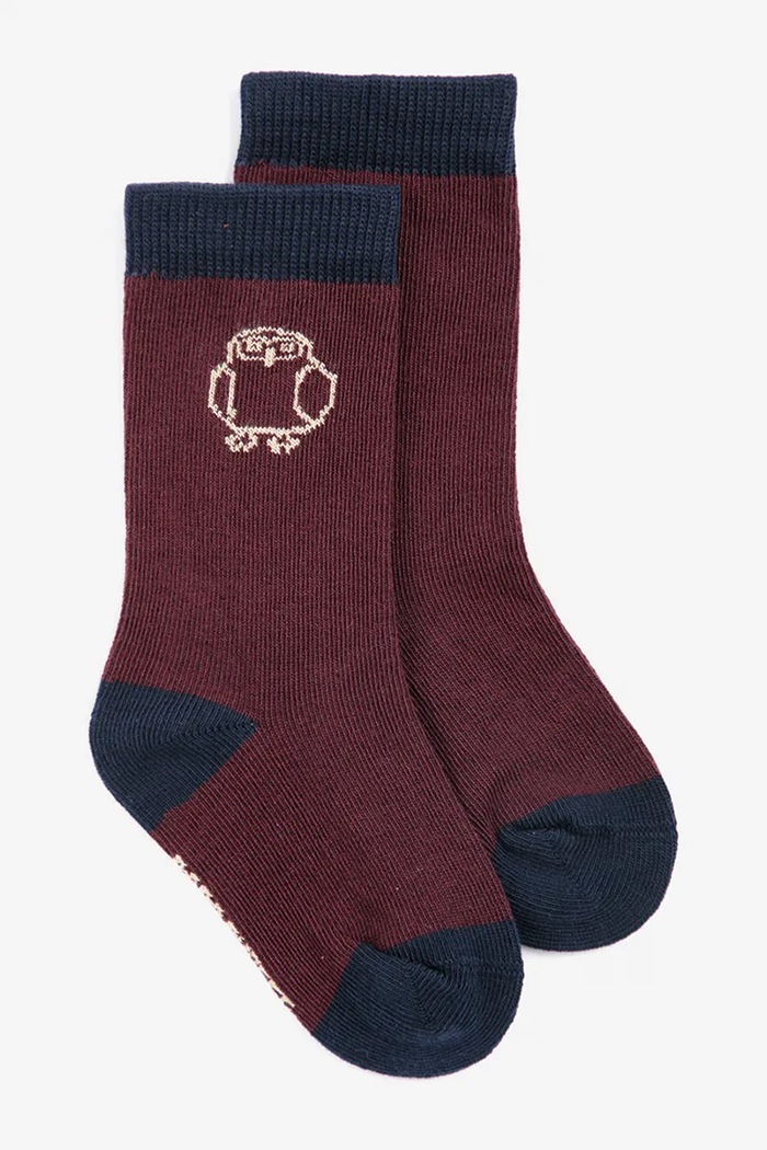 Chlapec Bobo Choses Ponožky detské Curious Owl 2-pak 226AH024 burgundské