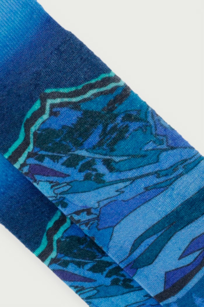 Smartwool Skarpety narciarskie męskie SW003125P431 niebieski AW26