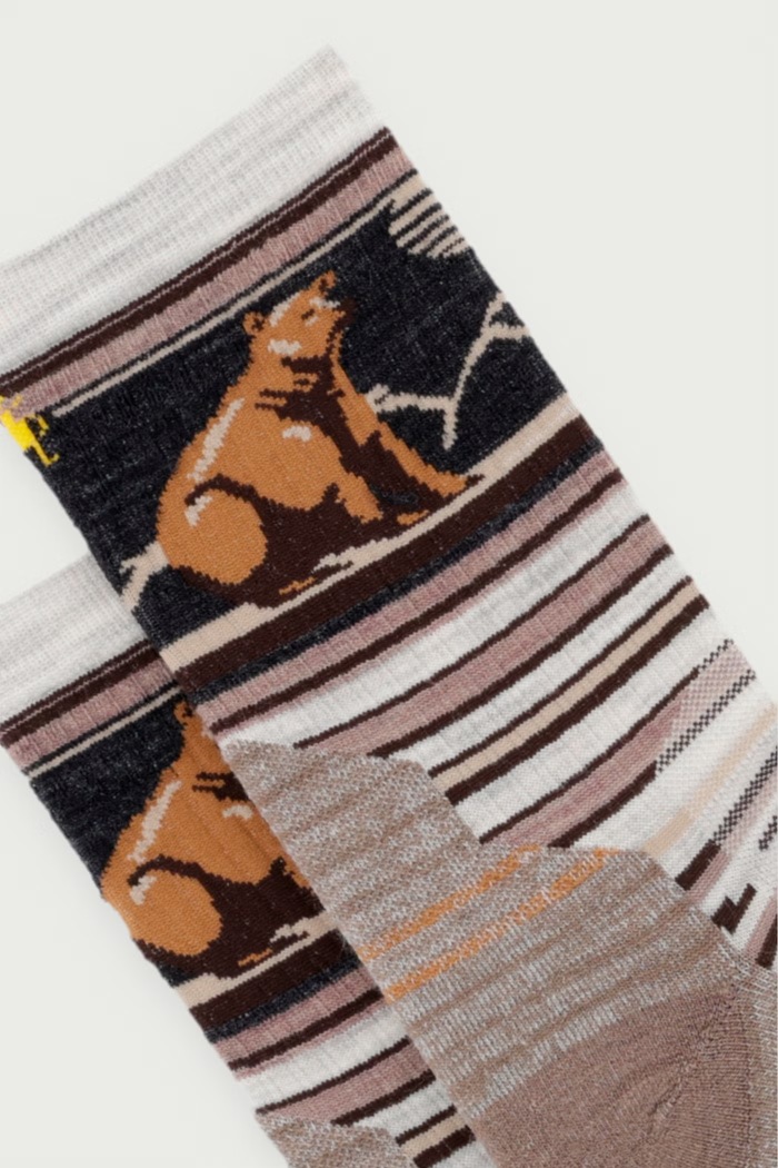 Smartwool Skarpety męskie SW0028800691 brązowy AW26