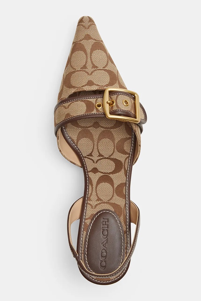 Czółenka Margot Slingback Coach CFZ29.ZCP brązowy