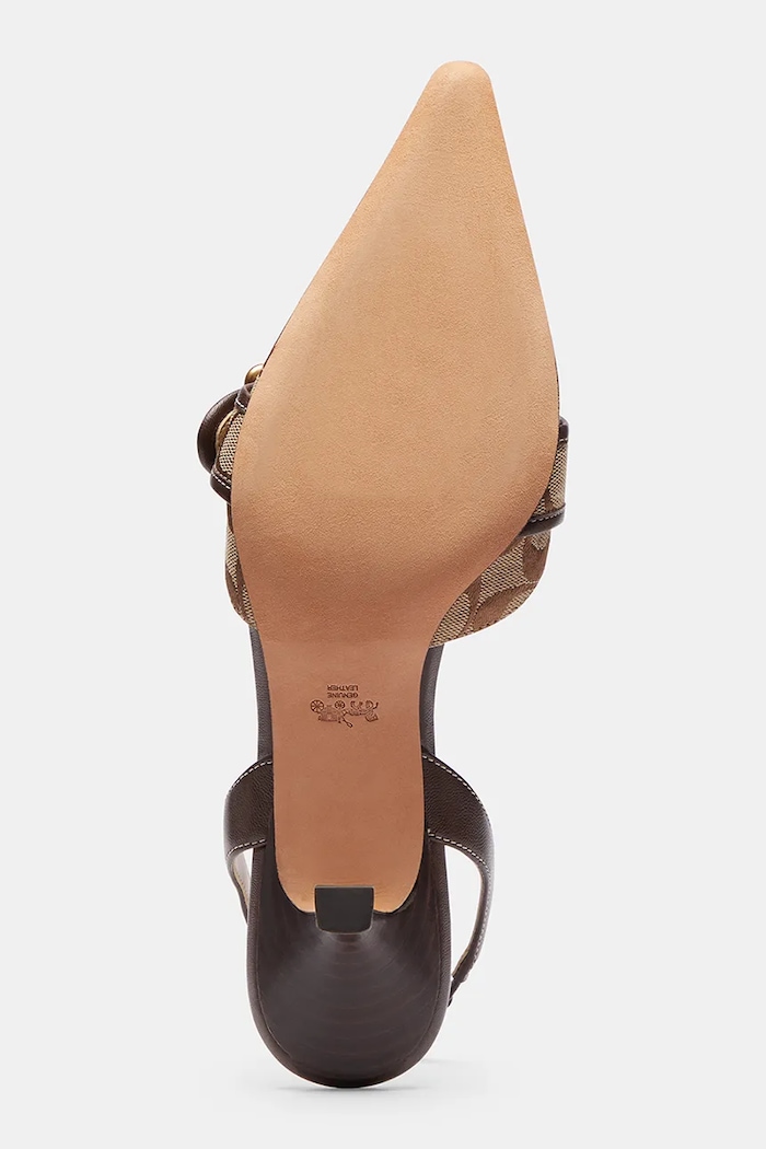 Czółenka Margot Slingback Coach brązowy CFZ29.ZCP