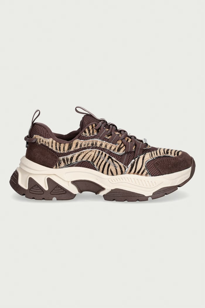 Steve Madden Animates-LE sneakersy damskie 11004762.BTU brązowy AW26
