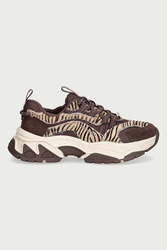 Steve Madden Animates-LE sneakersy damskie 11004762.BTU brązowy AW26