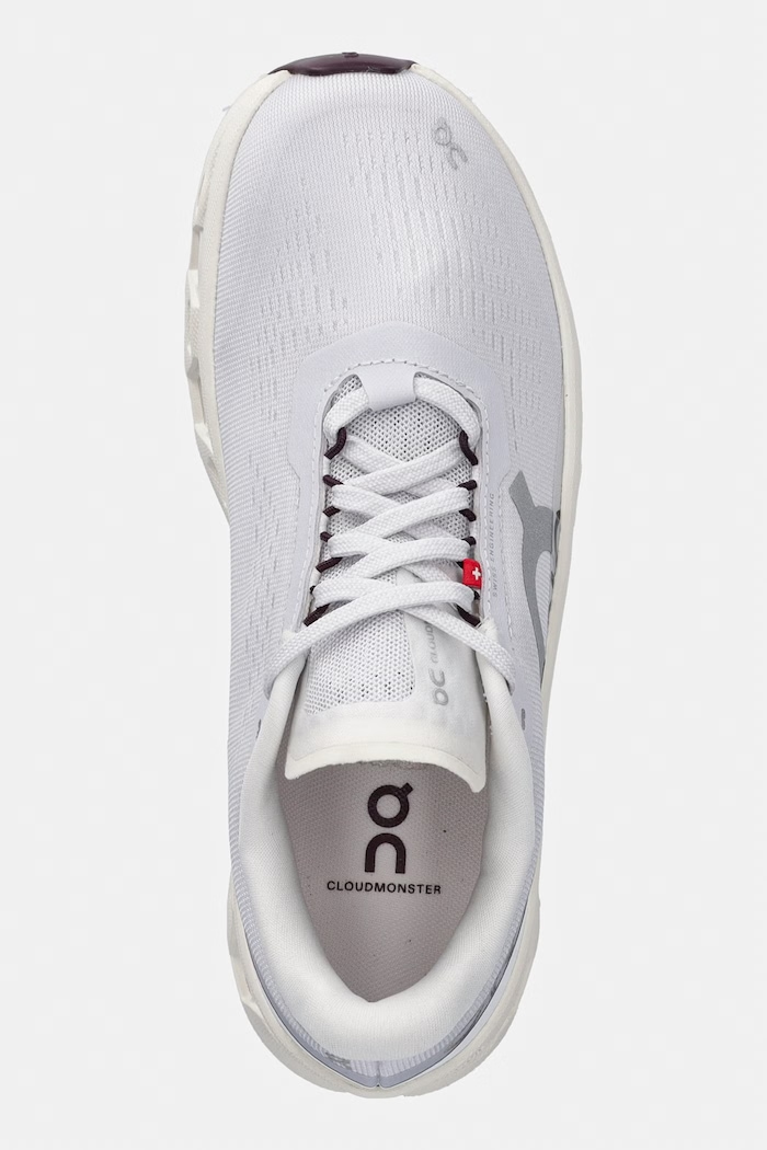 On buty treningowe damskie Cloudmonster 1 szary 3WF30485355