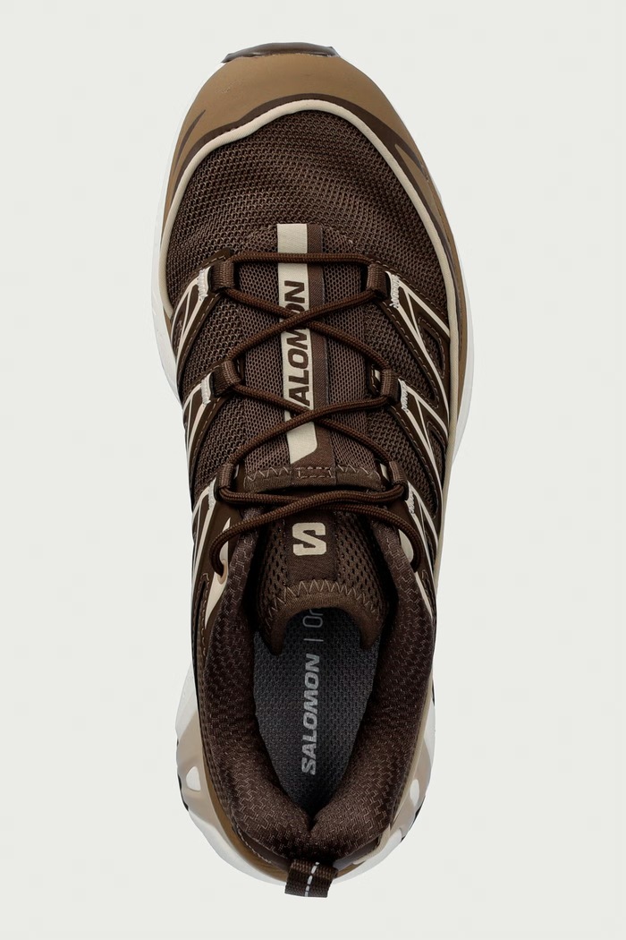 XT-6 EXPANSE sneakersy damskie Salomon L49201700 brązowy