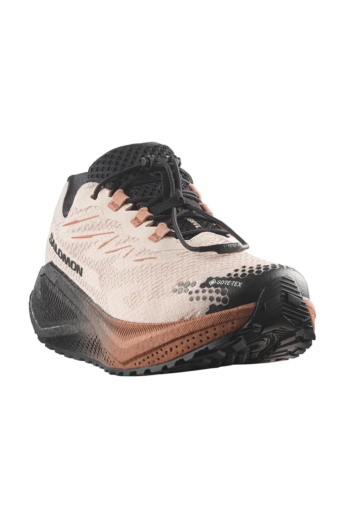 Salomon Buty do biegania damskie AERO BLAZE 4 GRVL GTX L45403900 beżowy AW26