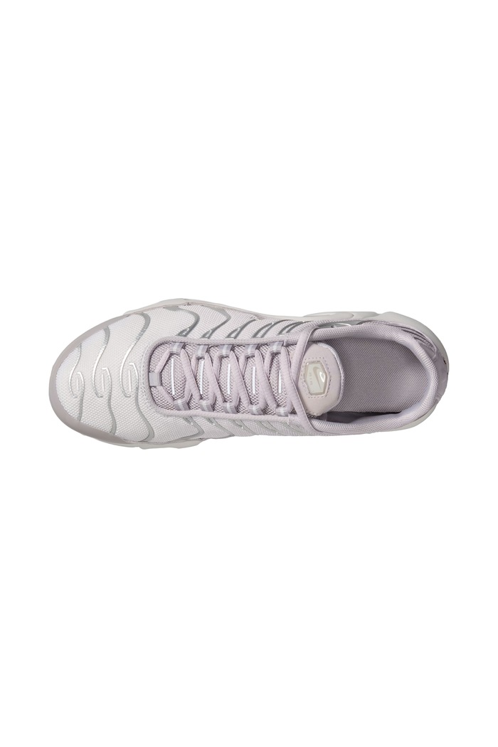 Chłopiec Nike Nike Air Max Plus sneakersy dziecięce IX6409 szary
