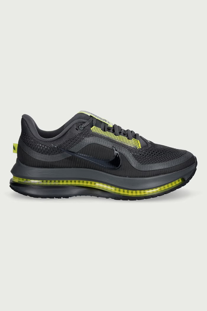 Nike Buty do biegania męskie Pegasus Premium HQ2592.021 szary AW26
