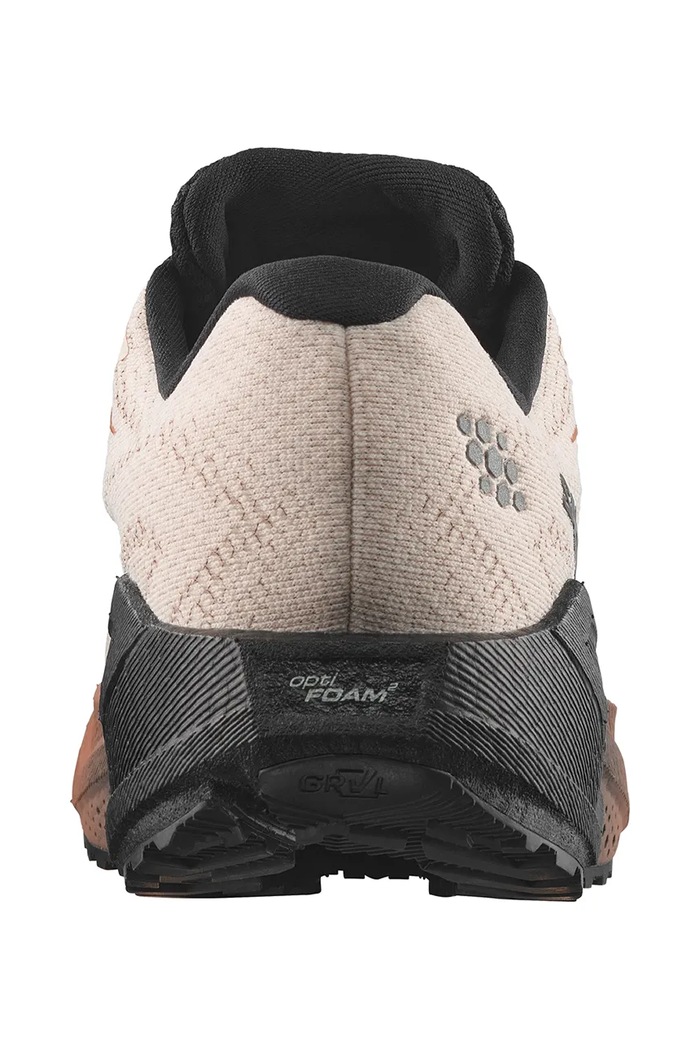 Obuwie Salomon Buty do biegania męskie AERO BLAZE 4 GRVL GTX L45403200 beżowy