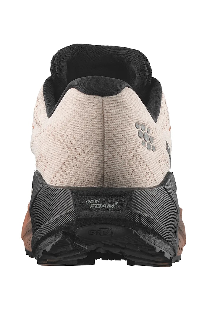 Obuwie Salomon Buty do biegania męskie AERO BLAZE 4 GRVL GTX L45403200 beżowy