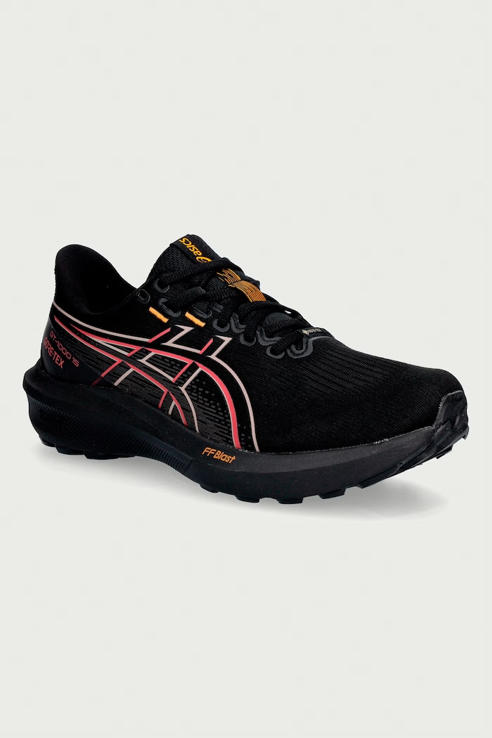 Asics buty treningowe męskie GT-1000 15 GORE-TEX czarny 1011C233.001