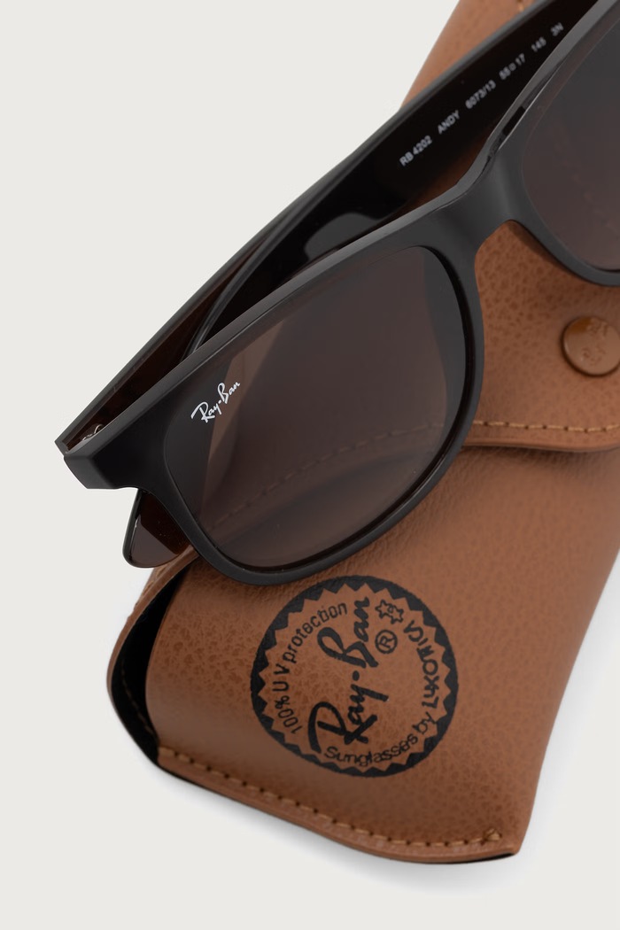 Аксессуары Ray-Ban Солнцезащитные очки для мужчин ANDY 0RB4202.55 коричневый