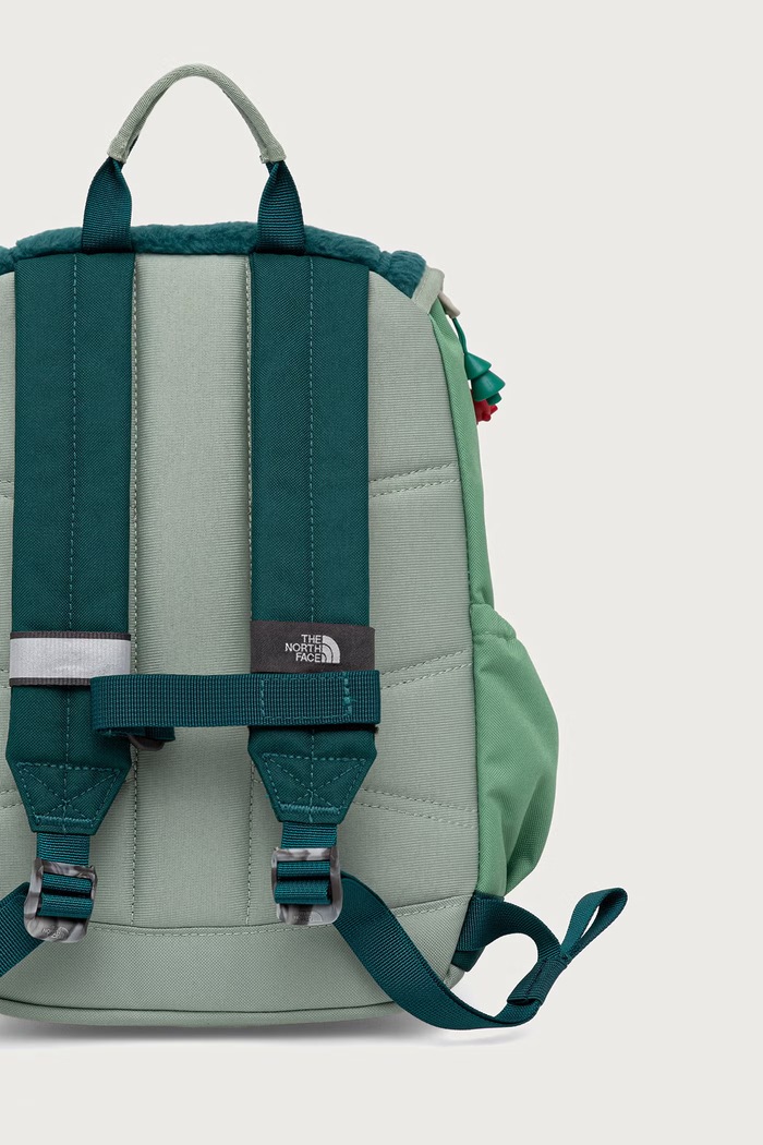 Chlapec The North Face Detský ruksak Y MINI EXPLORER NF0A52VWZT01 zelená