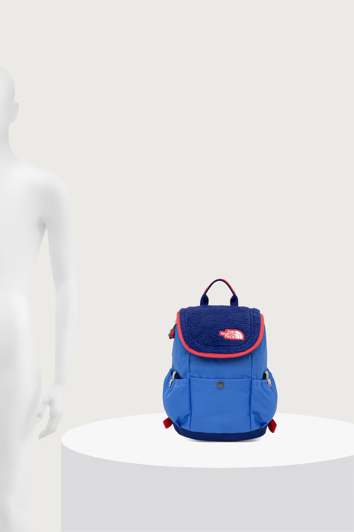 The North Face Detský ruksak Y MINI EXPLORER NF0A52VWZQA1