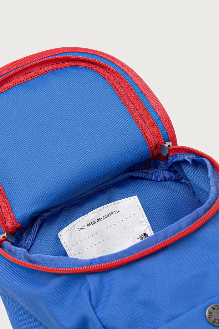 The North Face Detský ruksak Y MINI EXPLORER NF0A52VWZQA1