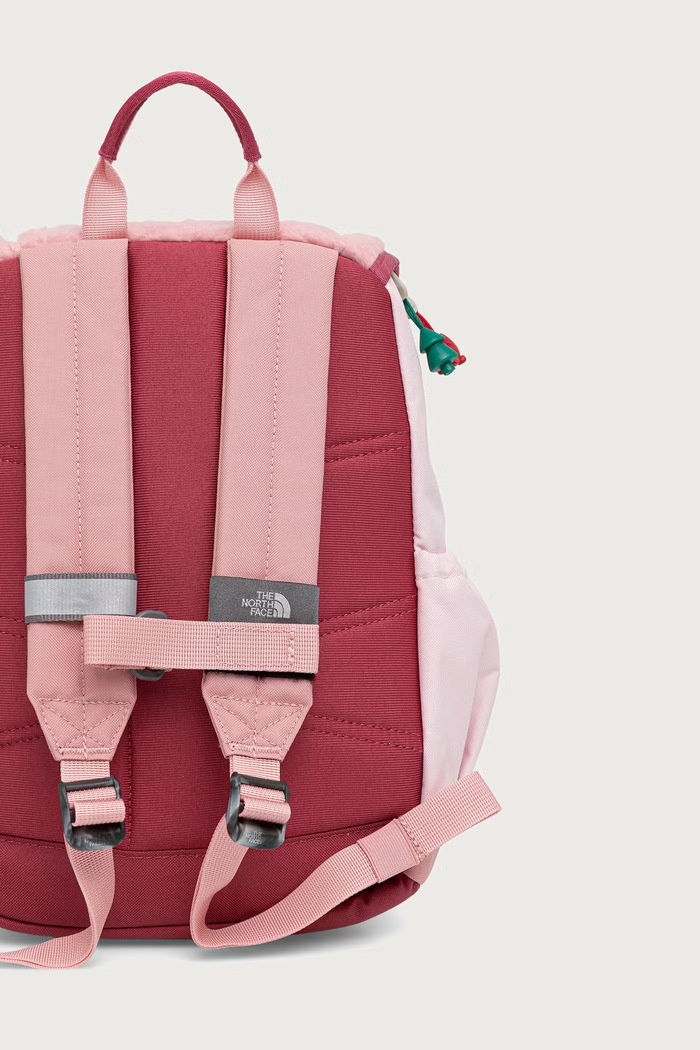 Chlapec The North Face Detský ruksak Y MINI EXPLORER NF0A52VWZX21 ružová