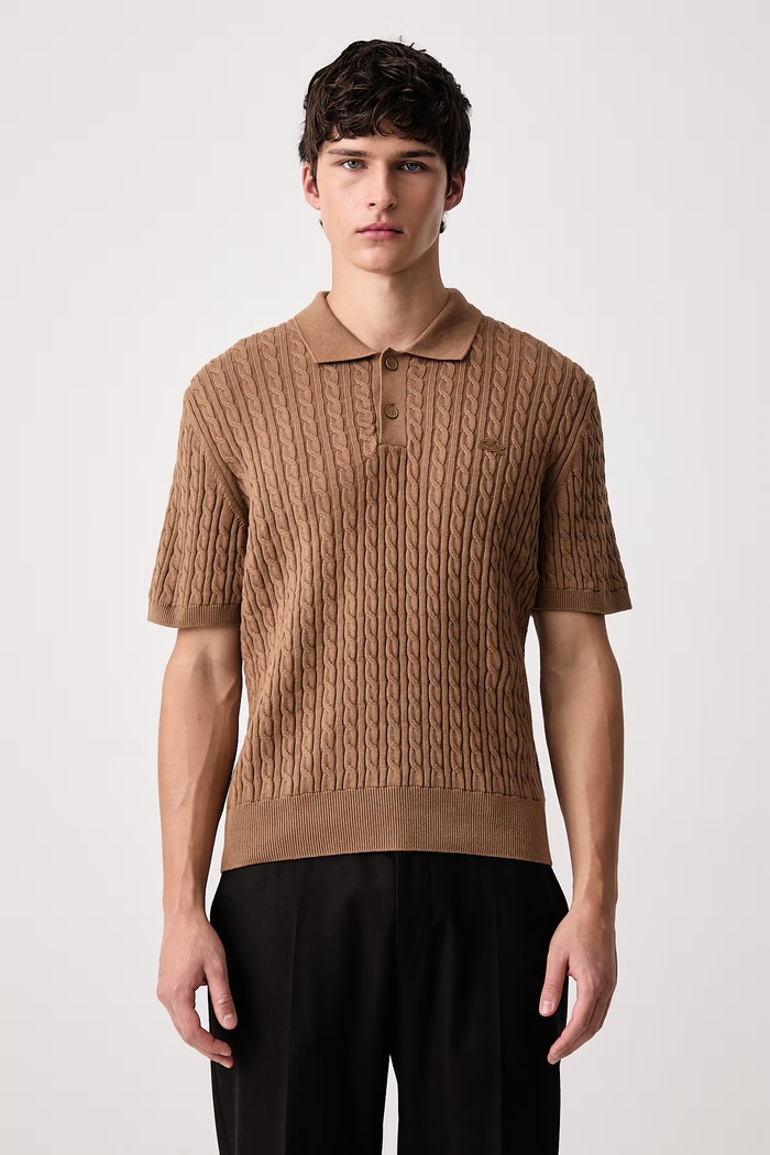 Lacoste Polo męskie z bawełną brązowy AH0687