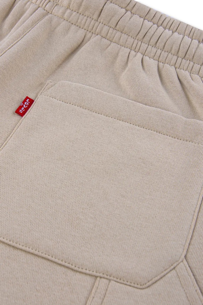 Dječaci Levi's hlače baggy za djecu s pamukom BAGGY CARPENTER SWEATPANT 9ER345 bež