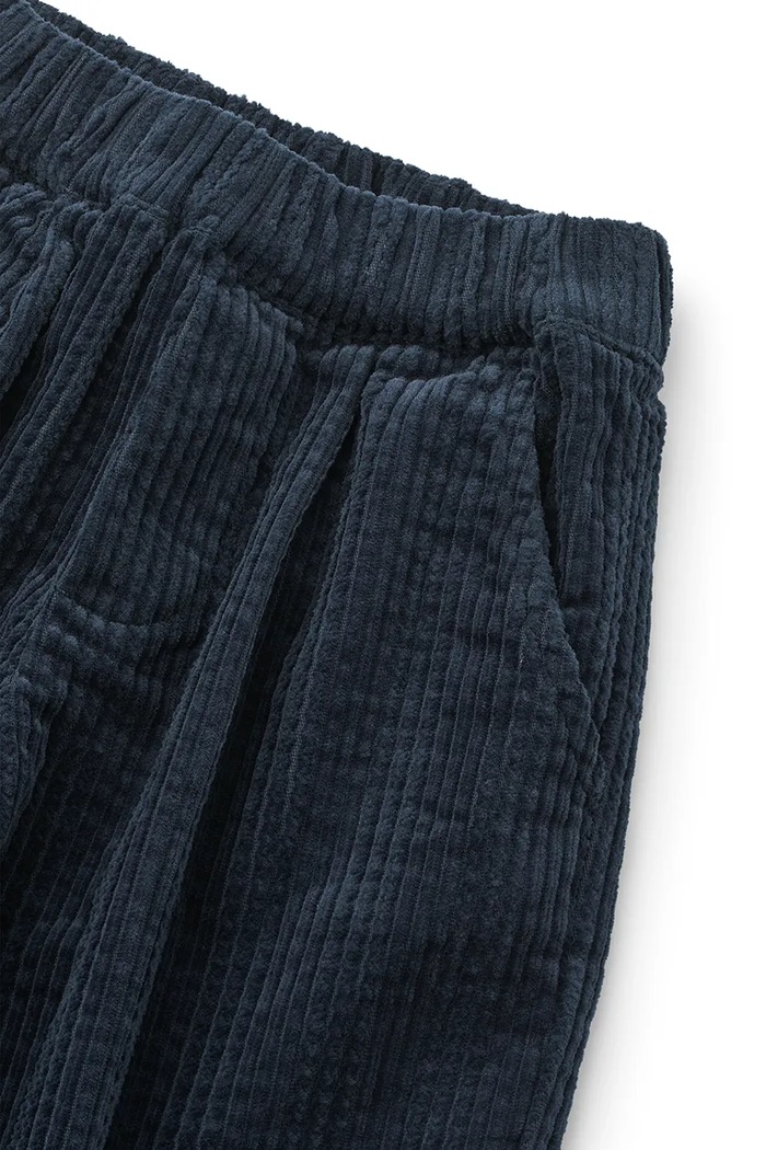 Παντελόνι παιδικό βαμβακερό Borris Corduroy Pants Liewood LW20741.9BY2 σκούρο μπλε