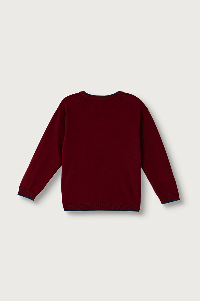 United Colors of Benetton Pulover za djecu od pamuka 1ZOJG101B.P.Seasonal bordo AW26