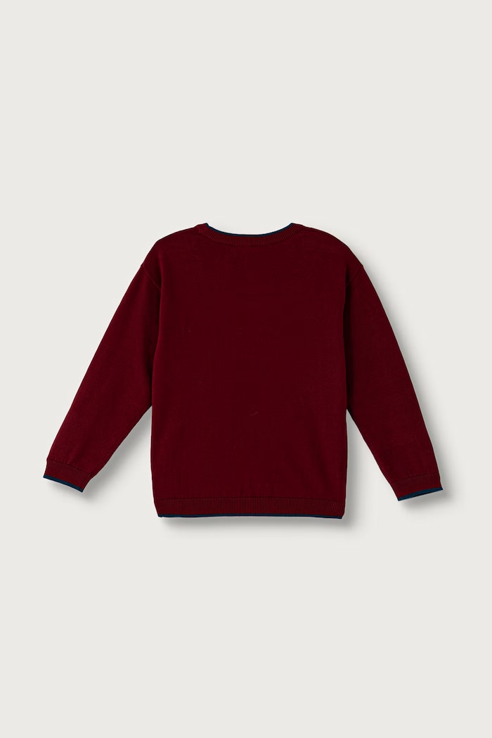 United Colors of Benetton Pulover za djecu od pamuka 1ZOJG101B.P.Seasonal bordo AW26