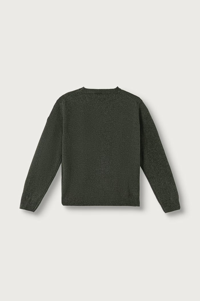 Colmar Sweter dziecięcy z wełną 98000000.142 zielony AW26